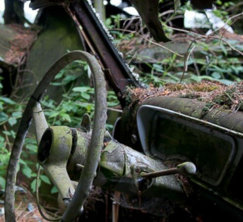 Автомеханик, бросил в лесу около сотни авто 50-ых годов выпуска, показываю, что с ними стало спустя 60 лет.